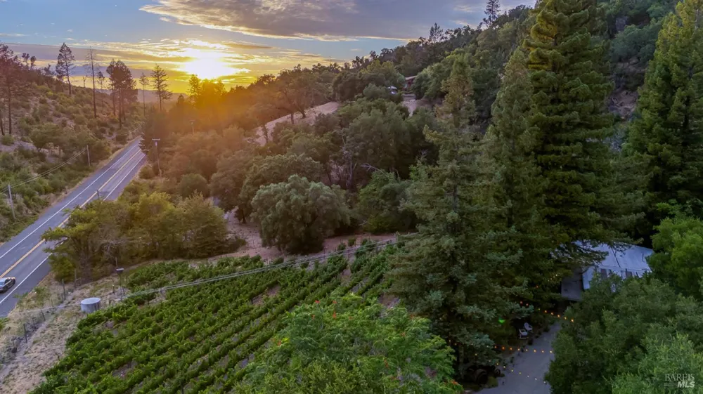 3588 Silverado Trail St. Helena, CA 94574