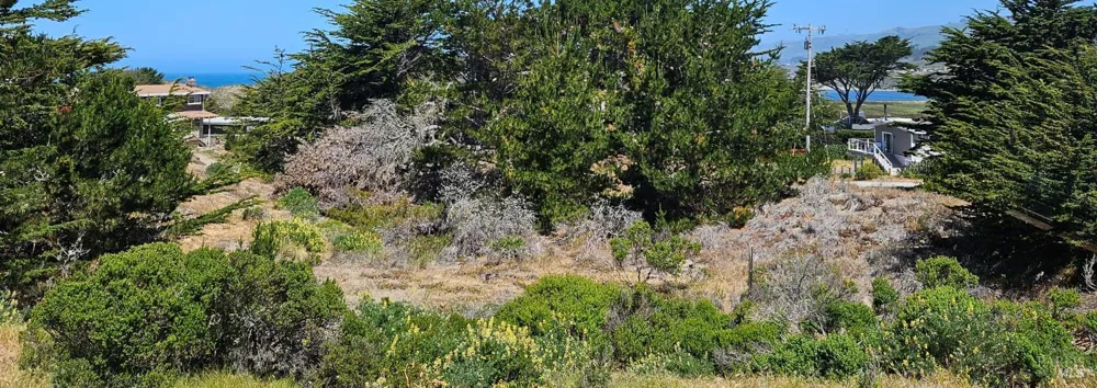 280 Driftwood Avenue Bodega Bay, CA 94923