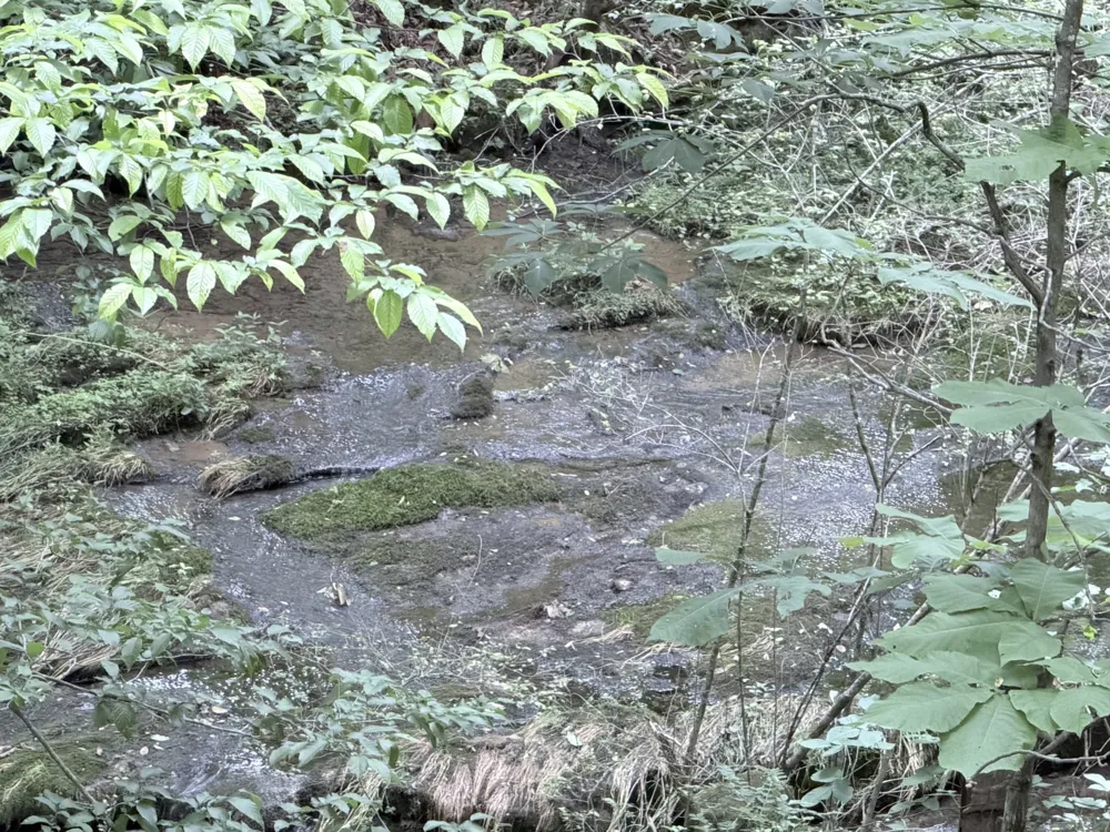 0 Hidden Valley Rd Huntland, TN 37345