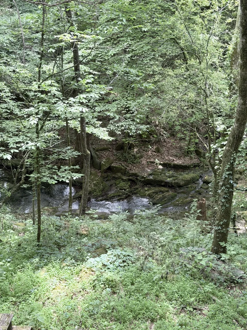 0 Hidden Valley Rd Huntland, TN 37345
