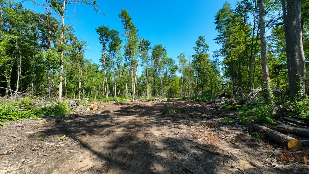 Swenson Road Holton, MI 49425