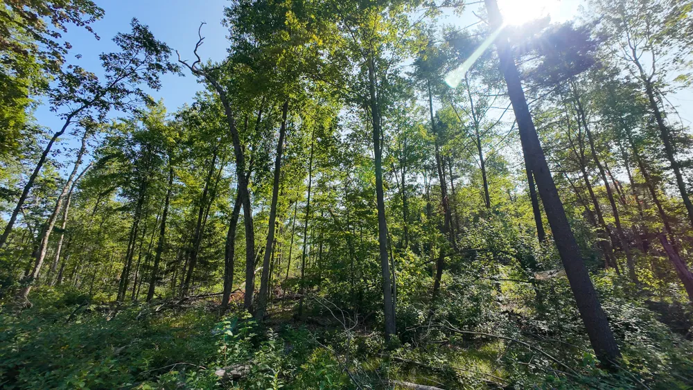 Swenson Road Holton, MI 49425