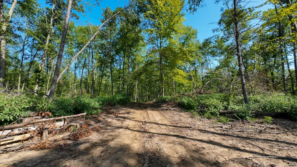 Swenson Road Holton, MI 49425