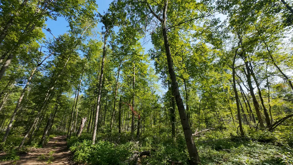 Swenson Road Holton, MI 49425