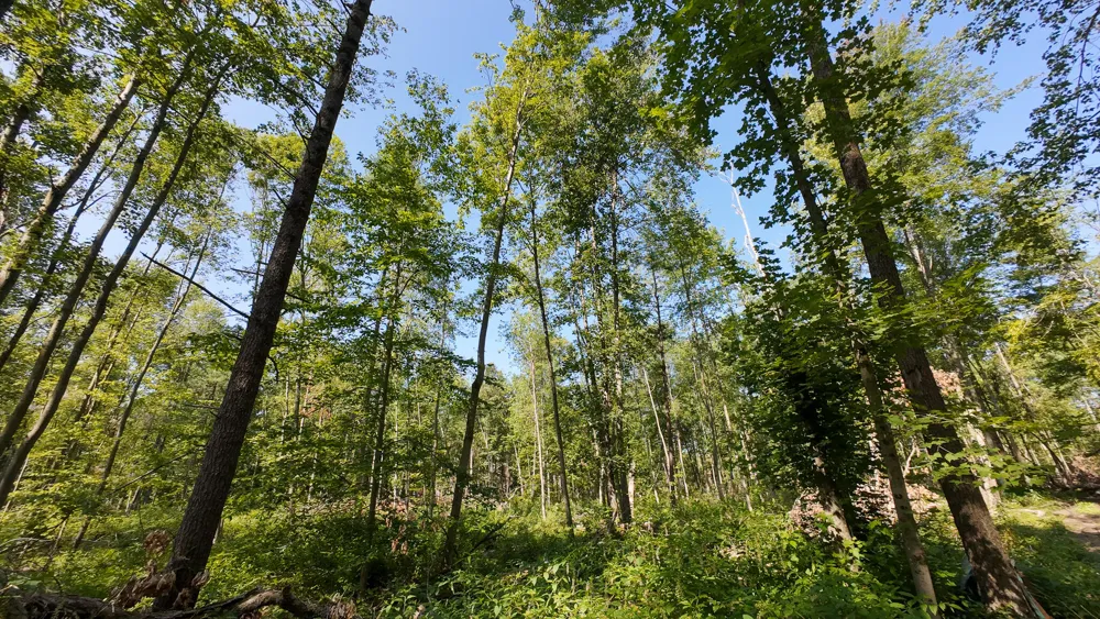 Swenson Road Holton, MI 49425