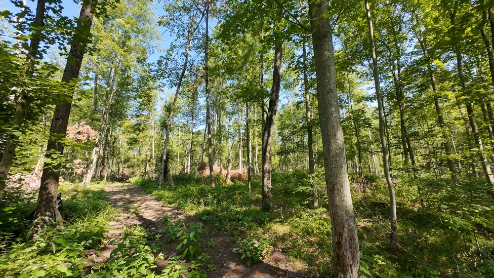 Swenson Road Holton, MI 49425