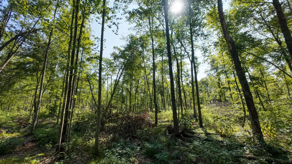 Swenson Road Holton, MI 49425