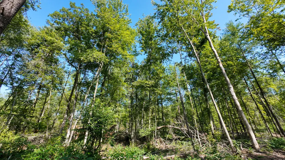 Swenson Road Holton, MI 49425