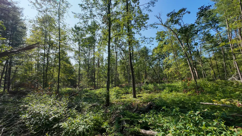 Swenson Road Holton, MI 49425