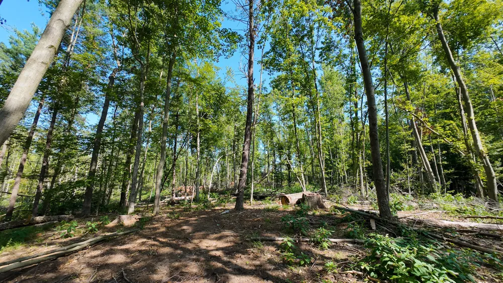 Swenson Road Holton, MI 49425