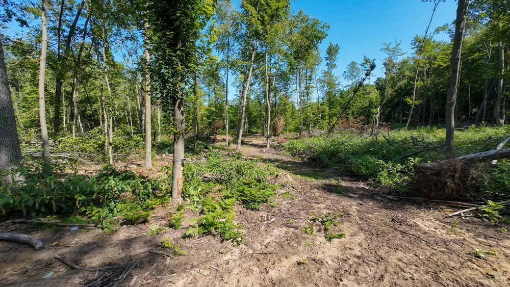Swenson Road Holton, MI 49425