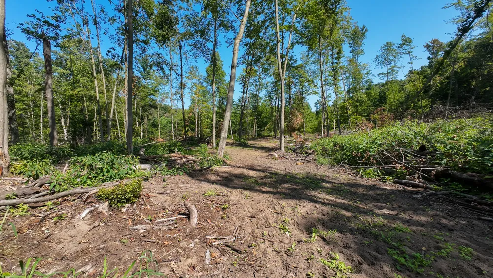 Swenson Road Holton, MI 49425