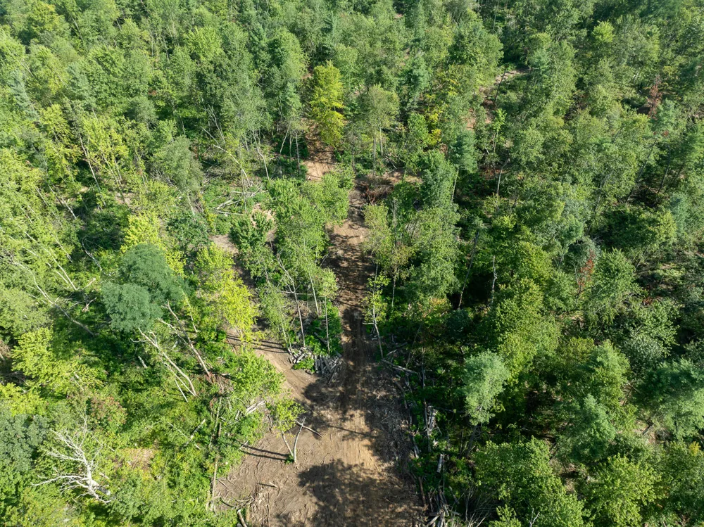 Swenson Road Holton, MI 49425