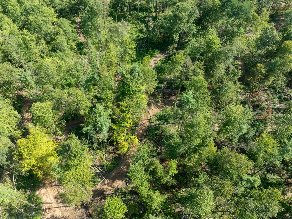 Swenson Road Holton, MI 49425