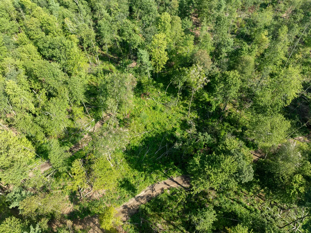 Swenson Road Holton, MI 49425