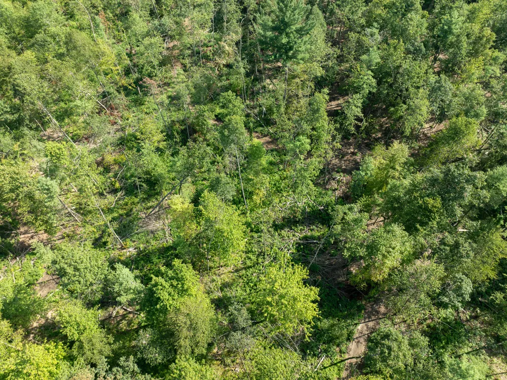 Swenson Road Holton, MI 49425