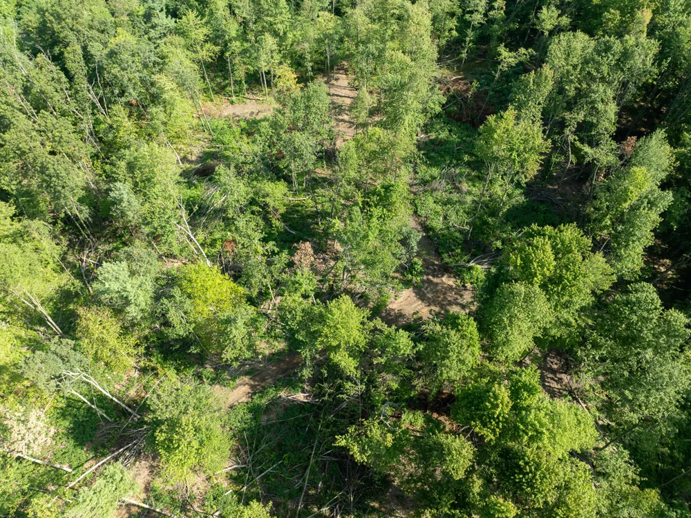 Swenson Road Holton, MI 49425