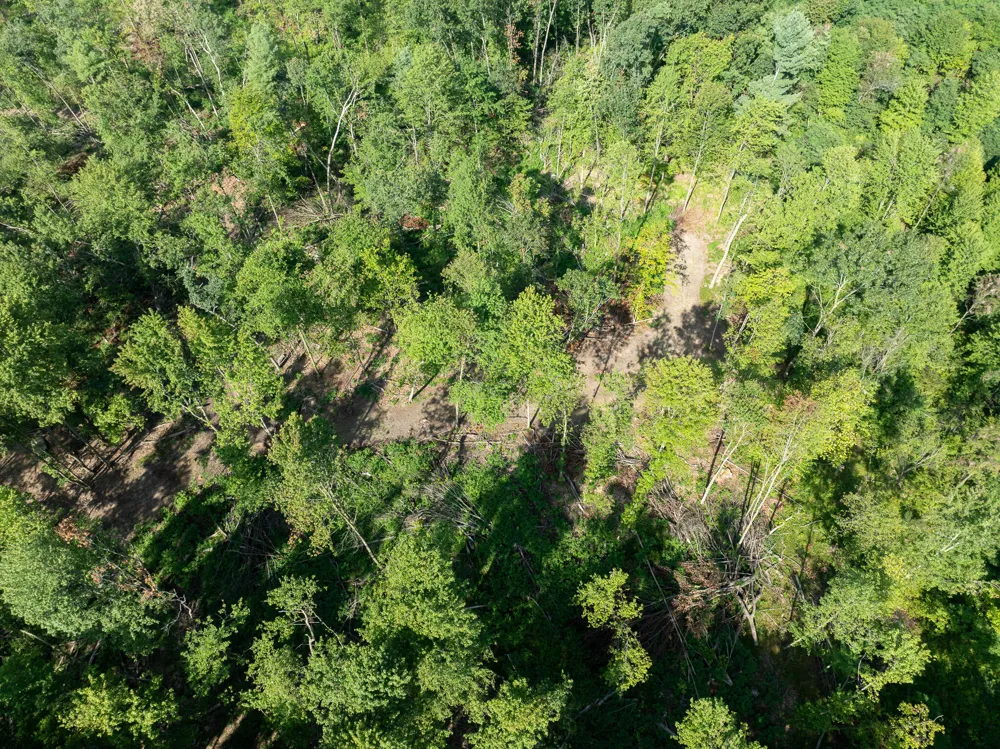 Swenson Road Holton, MI 49425