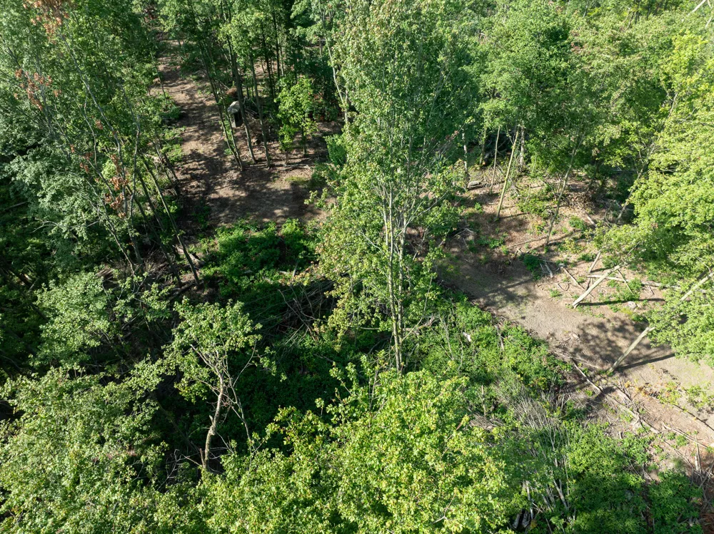 Swenson Road Holton, MI 49425