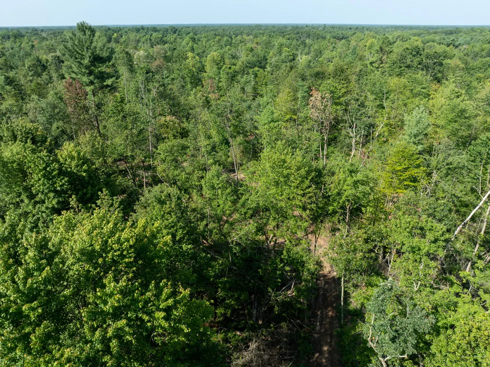 Swenson Road Holton, MI 49425