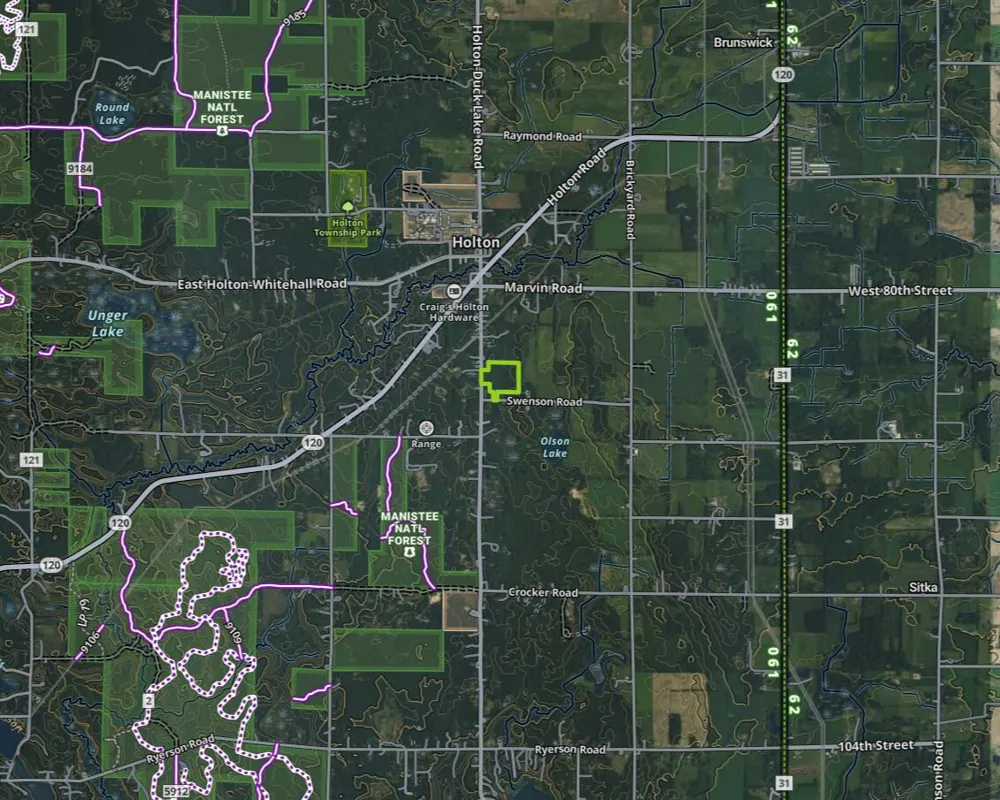 Swenson Road Holton, MI 49425
