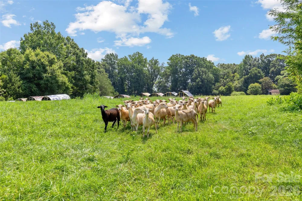 0 Pasture Place Mt Ulla, NC 28125
