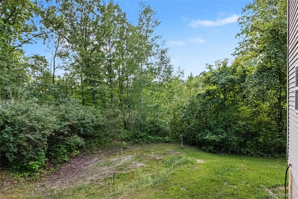 193 Miller Lake Rd. Deerfield Township, MI 48421