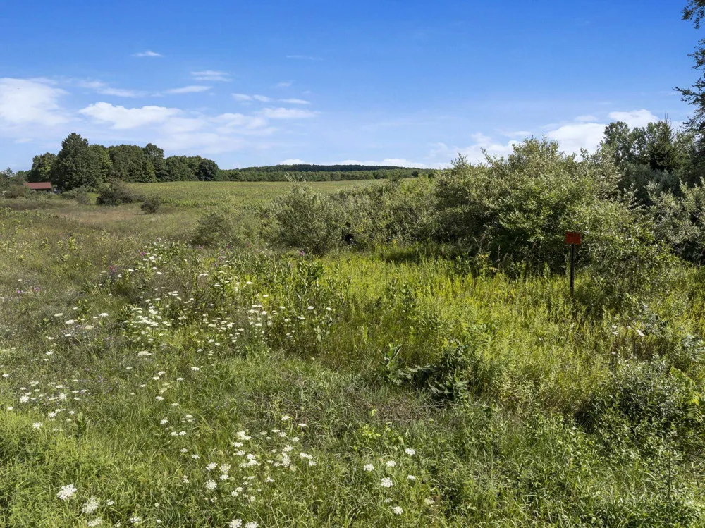 7921 Floreys Ranch Road Grant Township, MI 49620