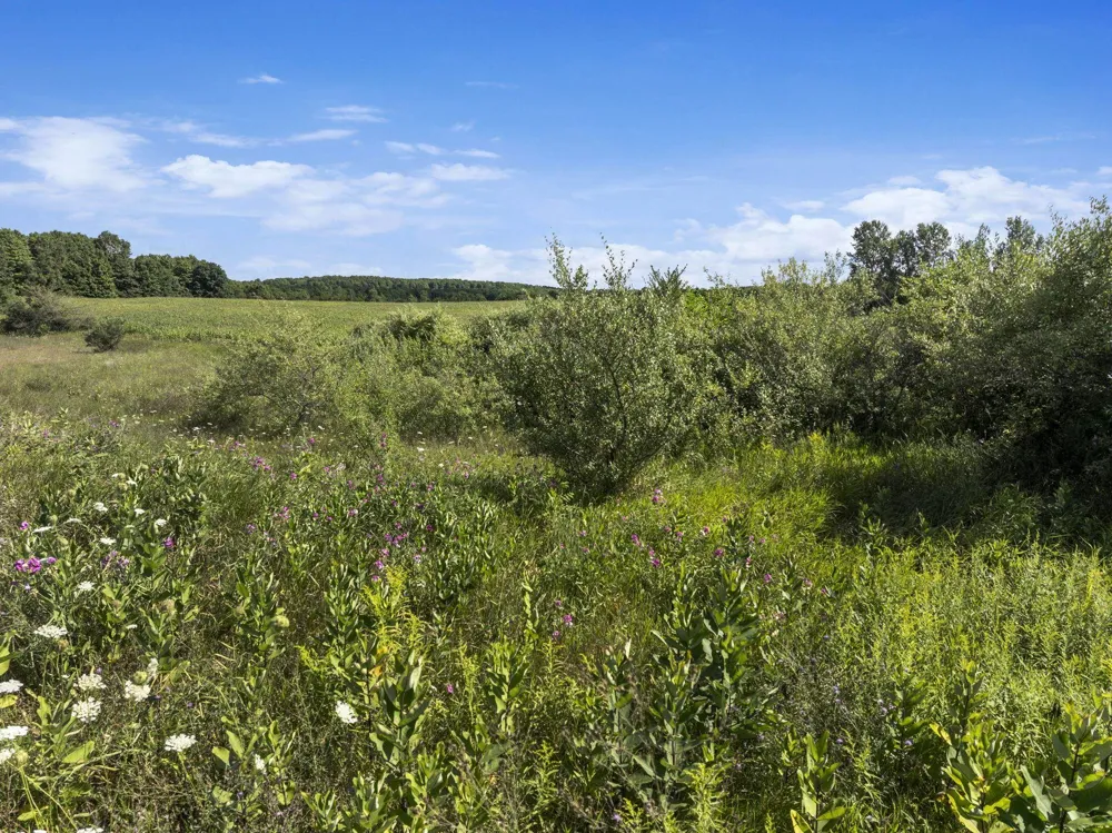 7921 Floreys Ranch Road Grant Township, MI 49620
