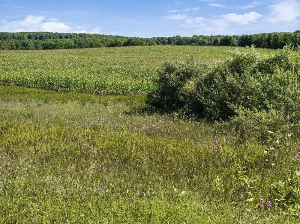 7921 Floreys Ranch Road Grant Township, MI 49620