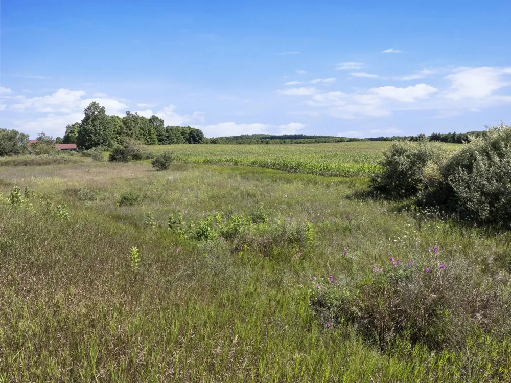 7921 Floreys Ranch Road Grant Township, MI 49620
