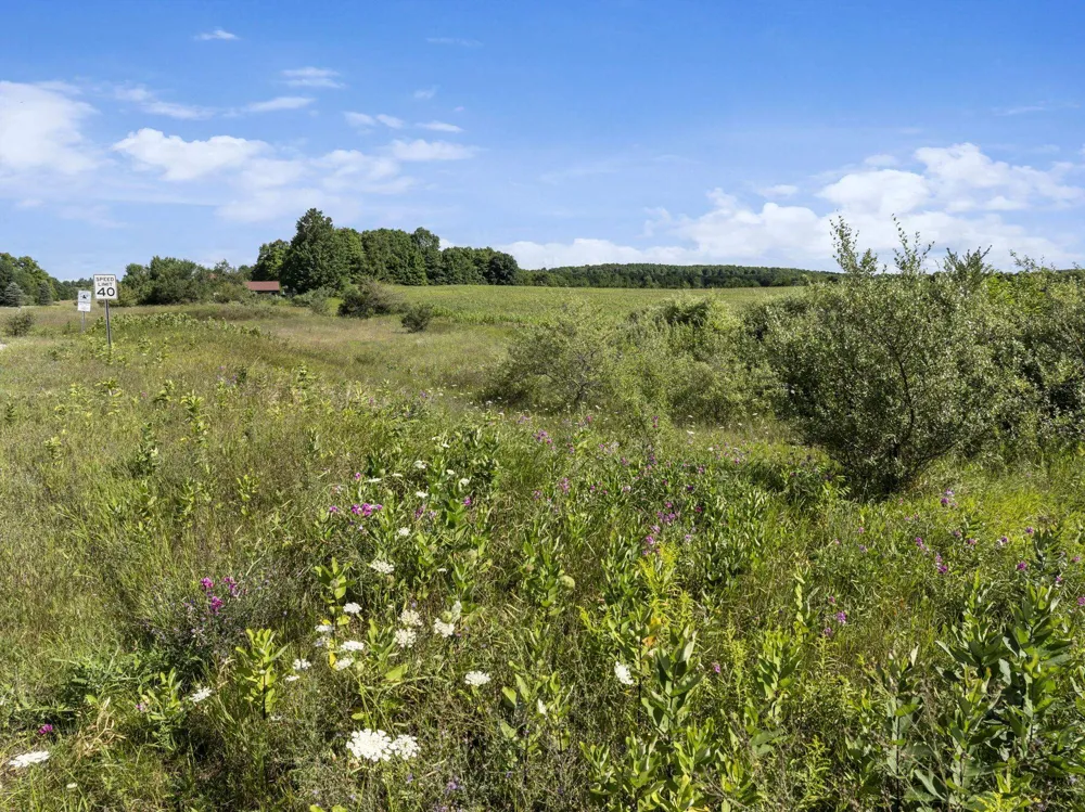 7921 Floreys Ranch Road Grant Township, MI 49620