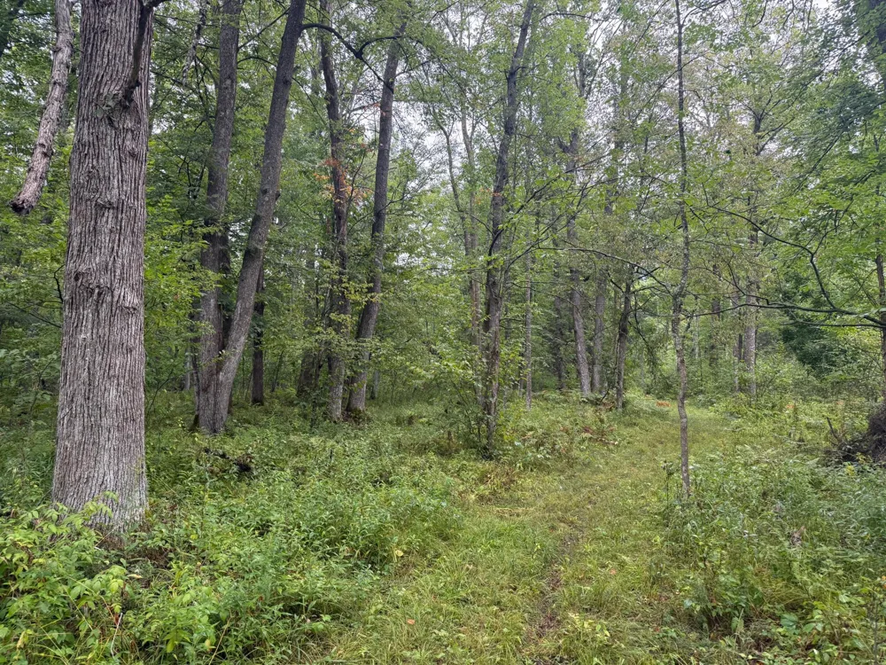 17001 White Spruce Road Finlayson, MN 55735
