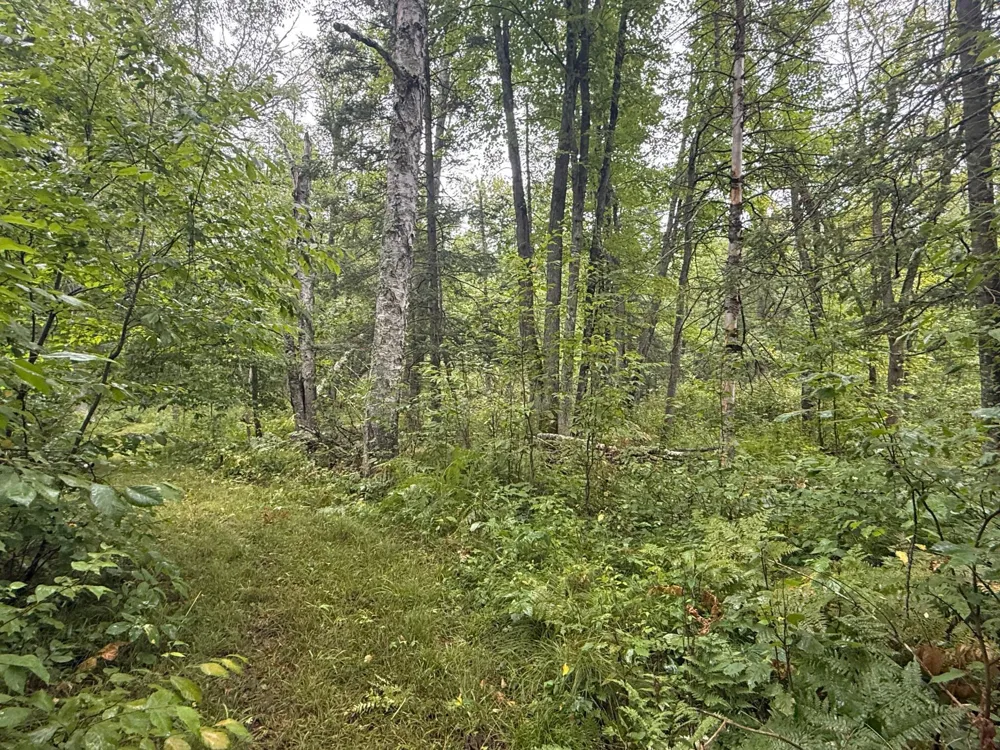 17001 White Spruce Road Finlayson, MN 55735