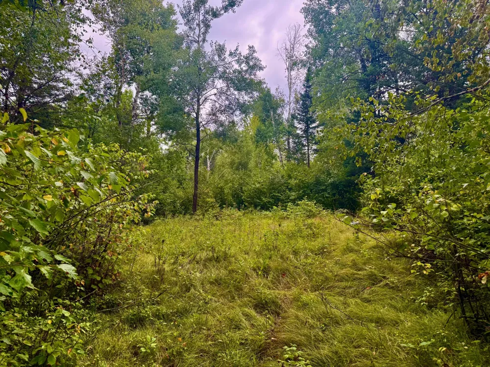 17001 White Spruce Road Finlayson, MN 55735
