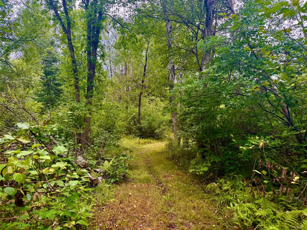 17001 White Spruce Road Finlayson, MN 55735