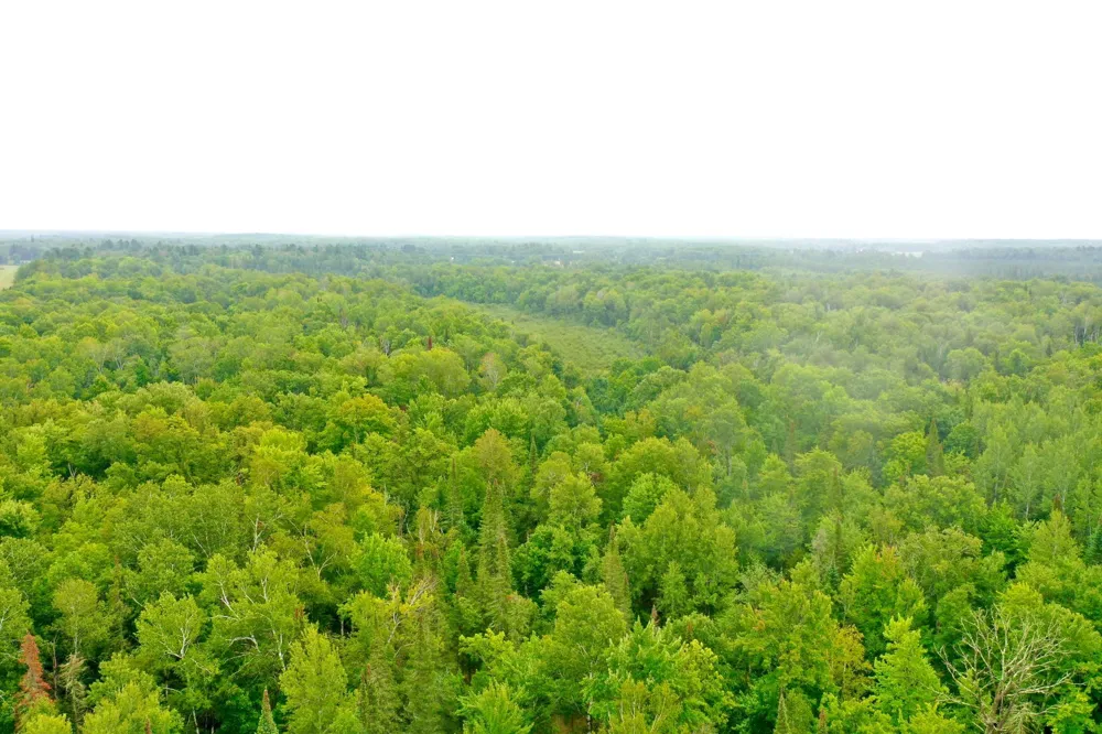 17001 White Spruce Road Finlayson, MN 55735