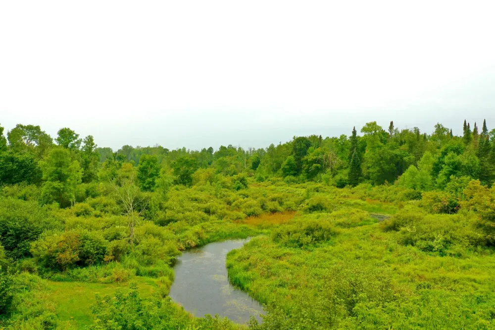 17001 White Spruce Road Finlayson, MN 55735