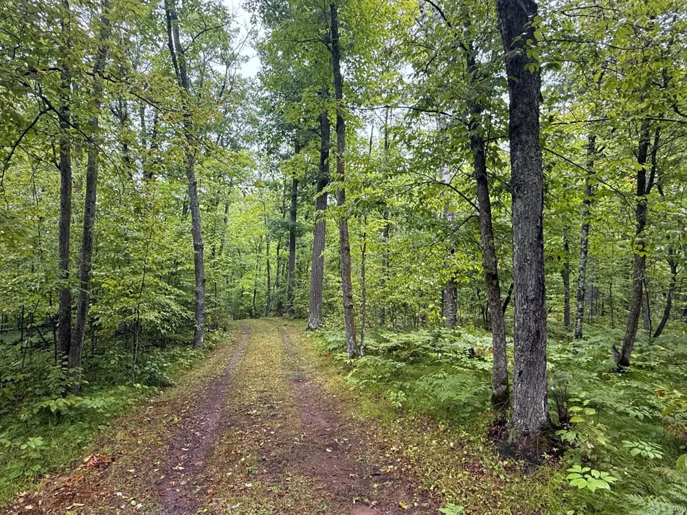 17001 White Spruce Road Finlayson, MN 55735