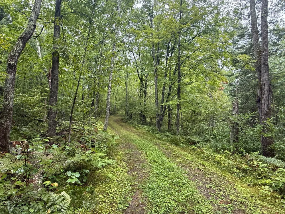 17001 White Spruce Road Finlayson, MN 55735