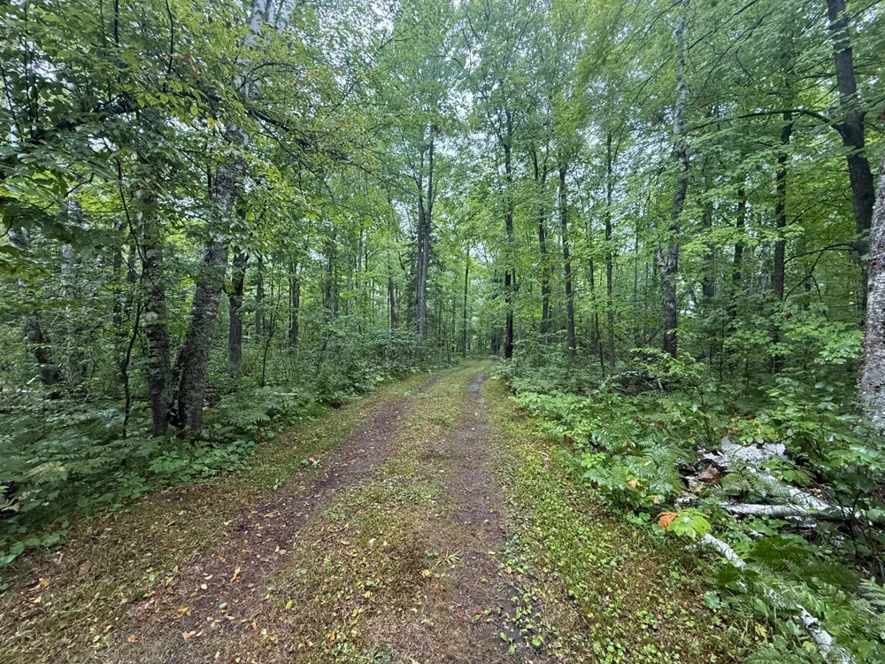 17001 White Spruce Road Finlayson, MN 55735
