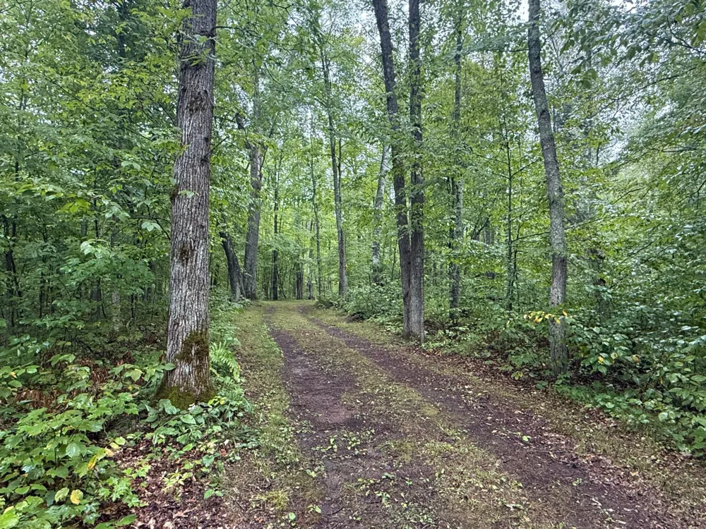 17001 White Spruce Road Finlayson, MN 55735