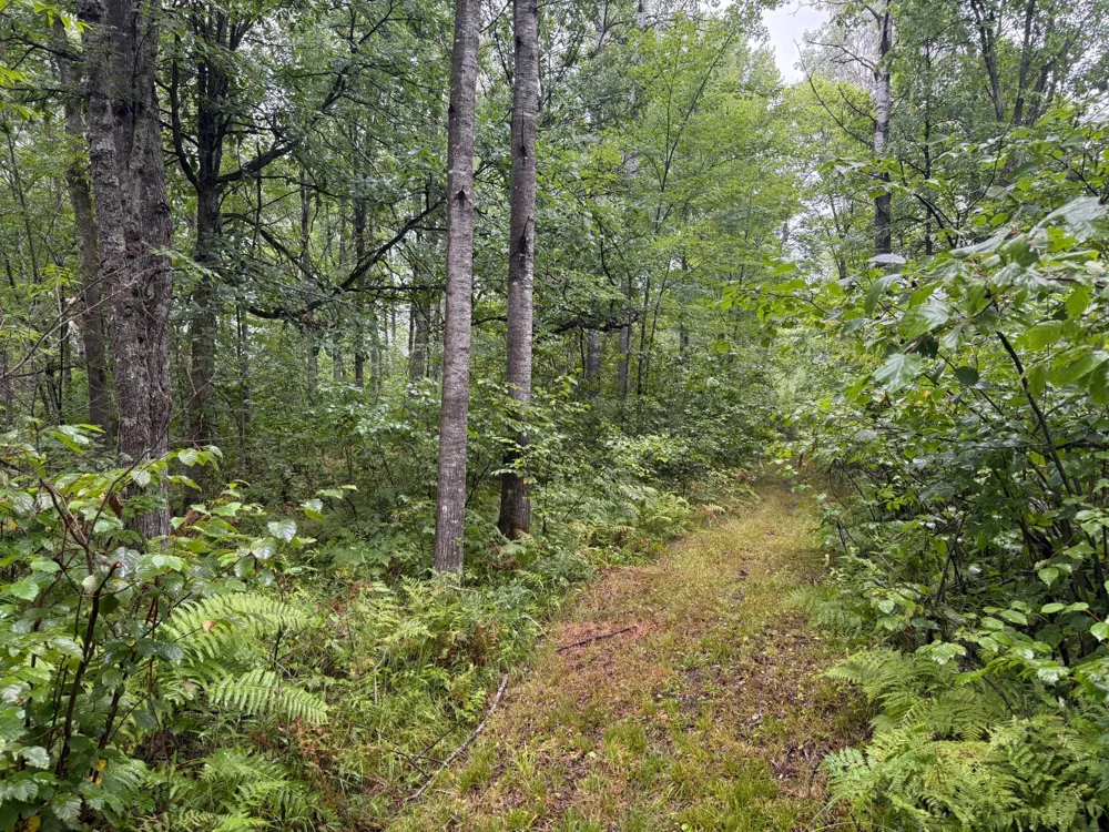 17001 White Spruce Road Finlayson, MN 55735