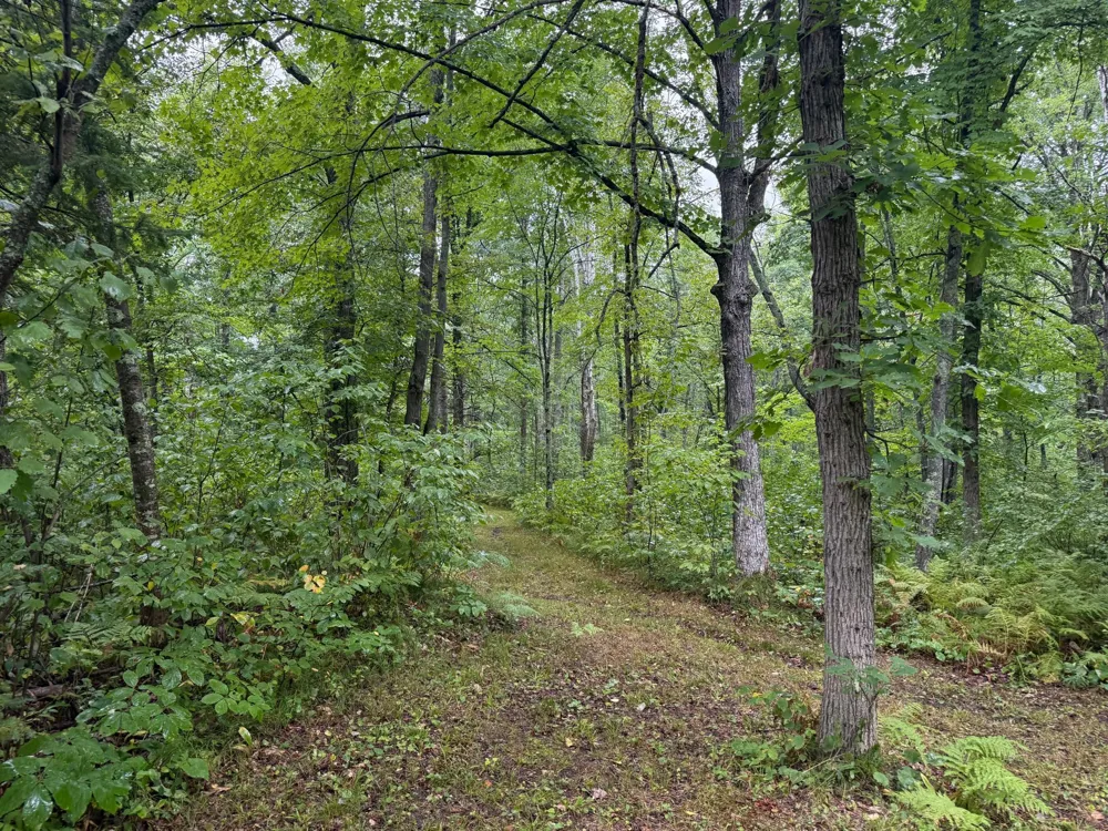17001 White Spruce Road Finlayson, MN 55735
