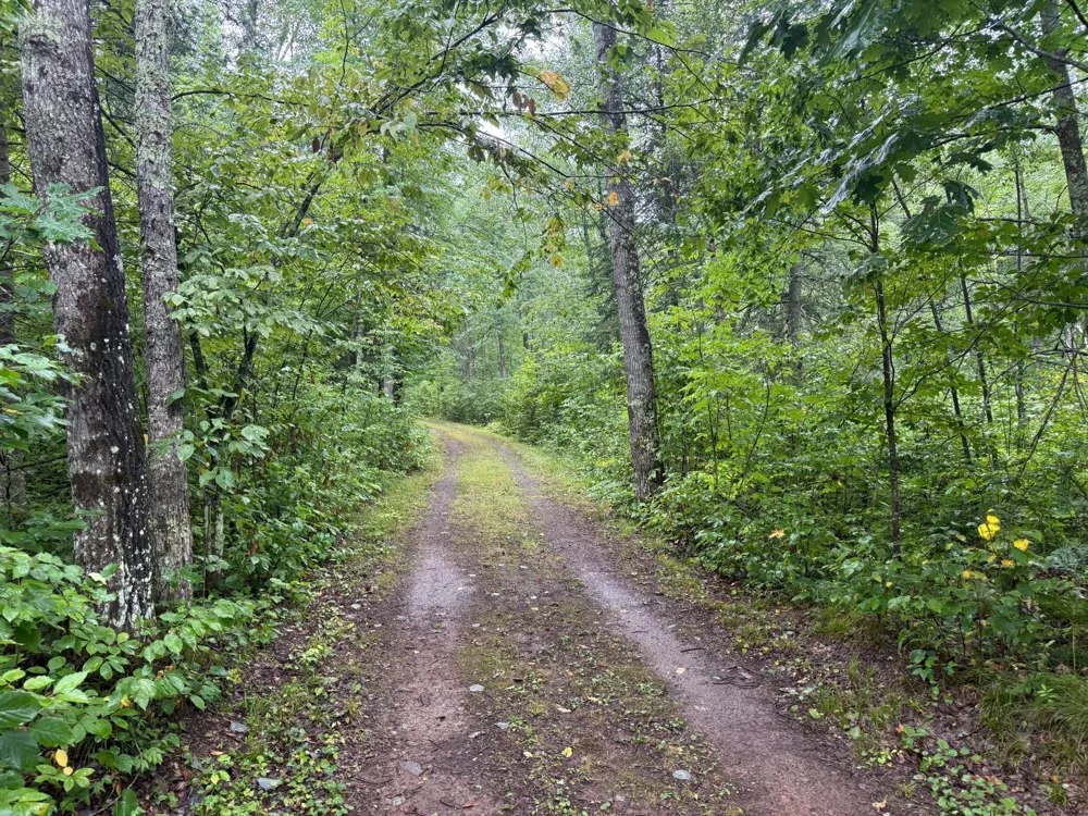 17001 White Spruce Road Finlayson, MN 55735
