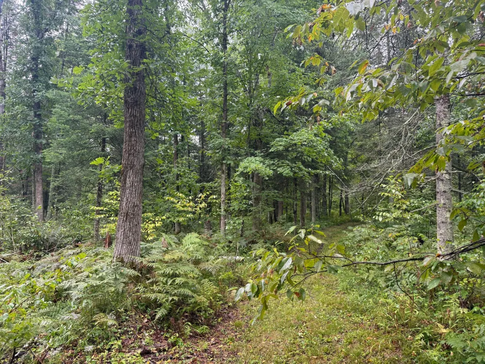 17001 White Spruce Road Finlayson, MN 55735