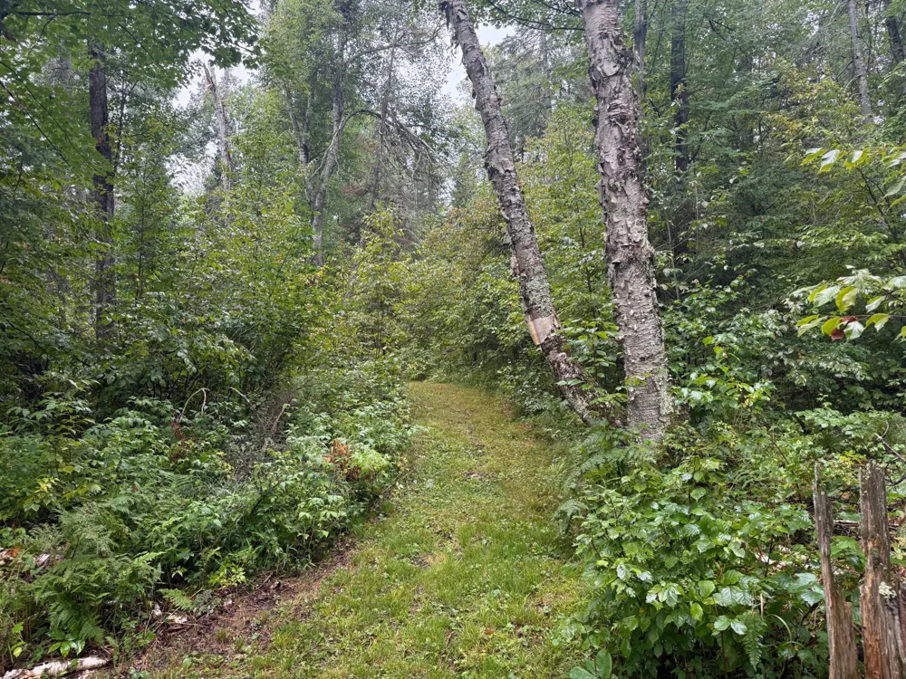 17001 White Spruce Road Finlayson, MN 55735