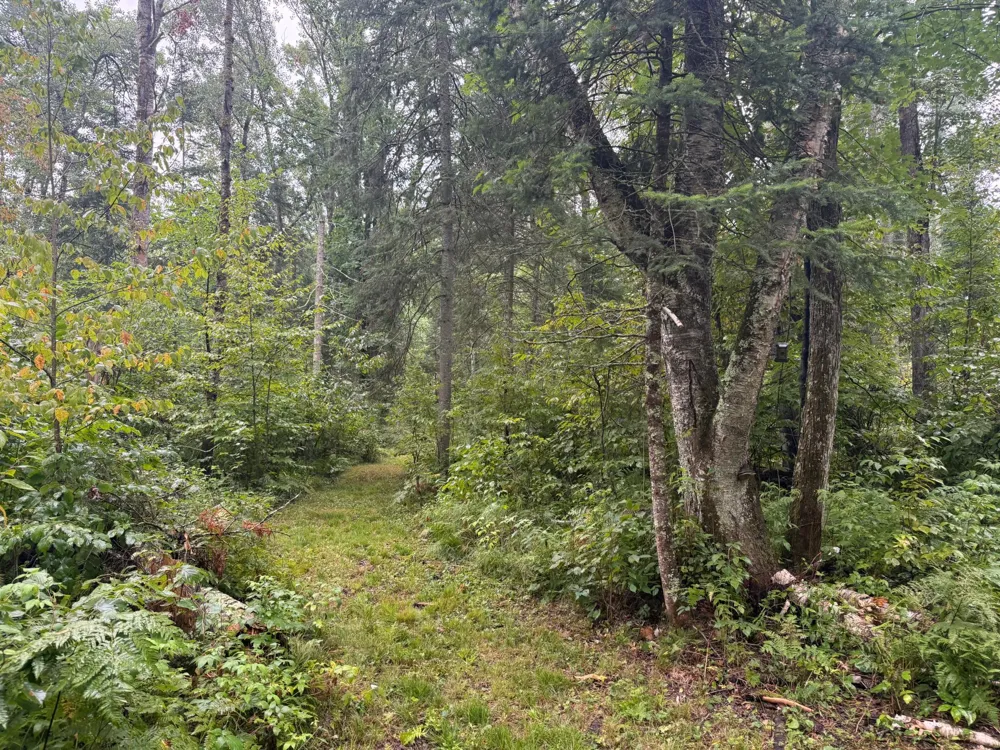 17001 White Spruce Road Finlayson, MN 55735