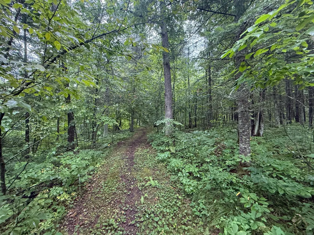 17001 White Spruce Road Finlayson, MN 55735