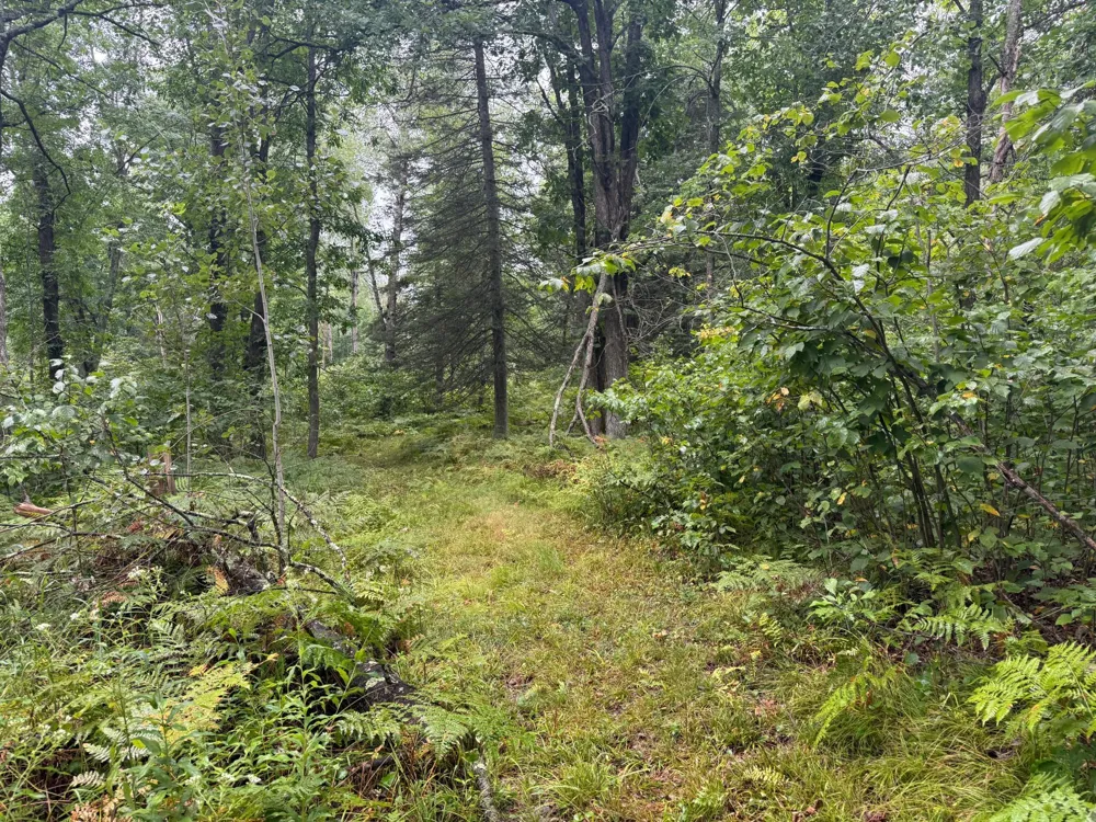 17001 White Spruce Road Finlayson, MN 55735